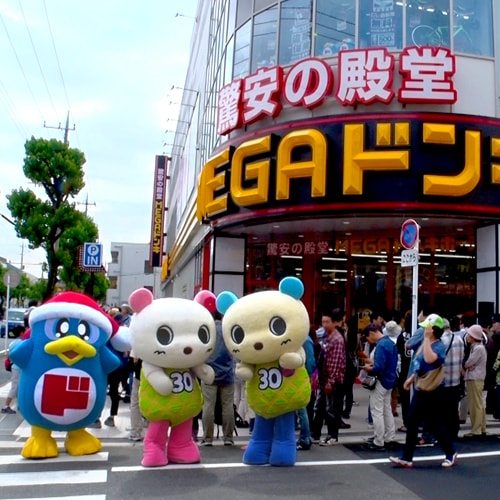 ドンペンとドン・キホーテ東名川崎店、メローとコスミンも一緒