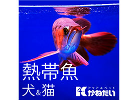 アクア&ペット かねだい立川店 店舗イメージ1