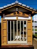 自動精米機のロゴ